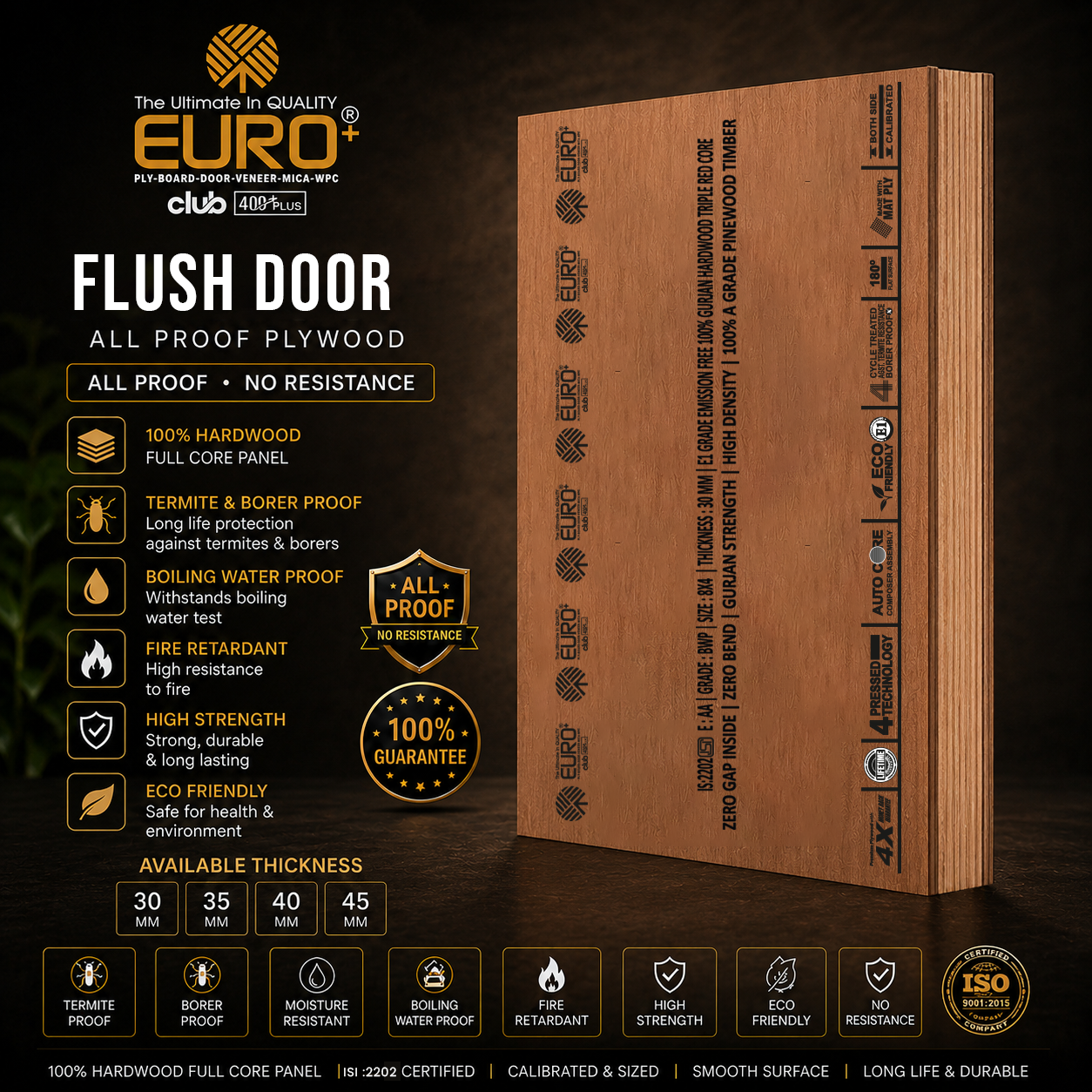 EURO+ Flush Door — All Proof Plywood